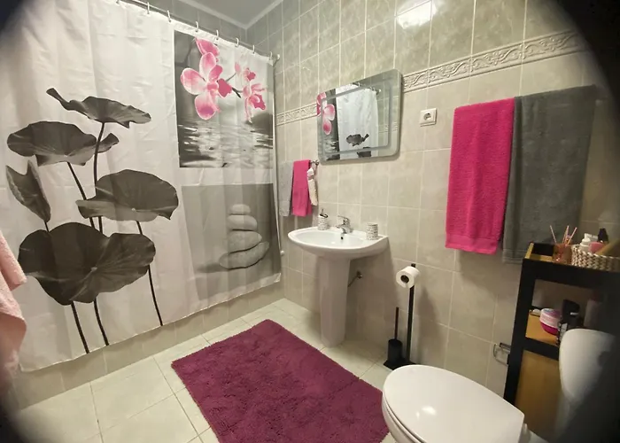 Bela Vista Em Castro Apartamento Castro Daire